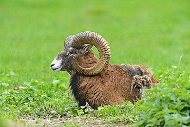 《WWE 2K19》《WWE 2K20》在线服务器将于6月30日关闭