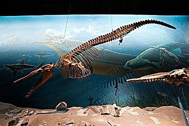 《猎杀：对决》与音乐人波兹·马龙合作推出“史上最大活动”