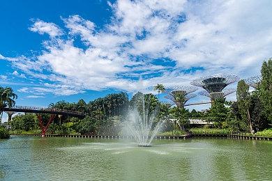 72岁老玩家打通《艾尔登法环》本体及DLC八周目